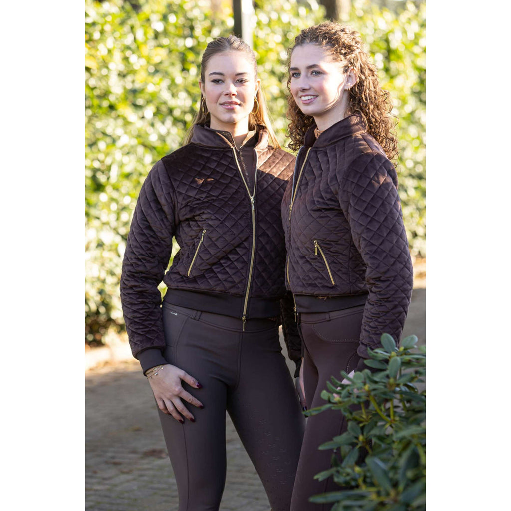 Harry's Horse Veste Bomber Classy Bracken