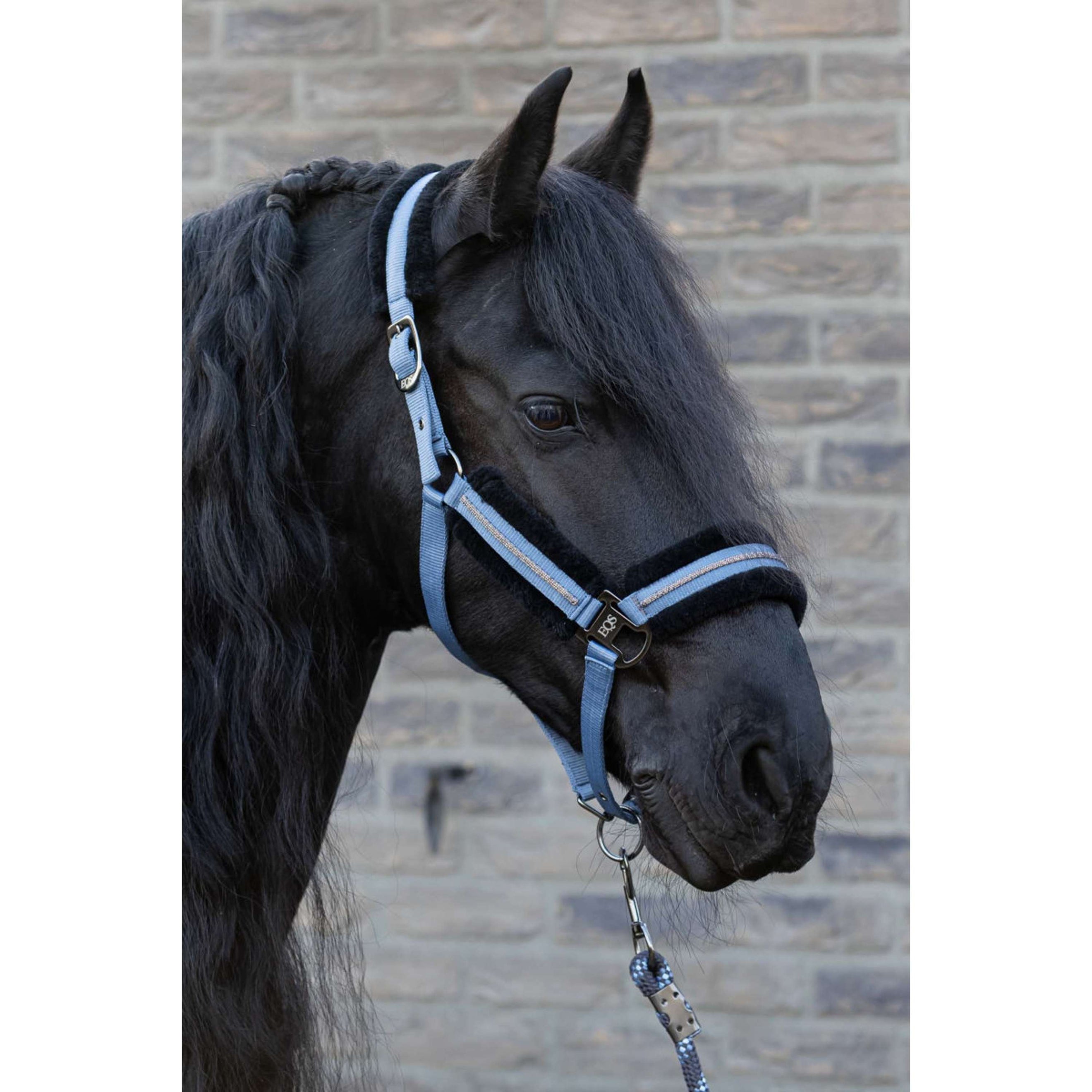 Harry's Horse Ensemble Licol Soft Flint Stone