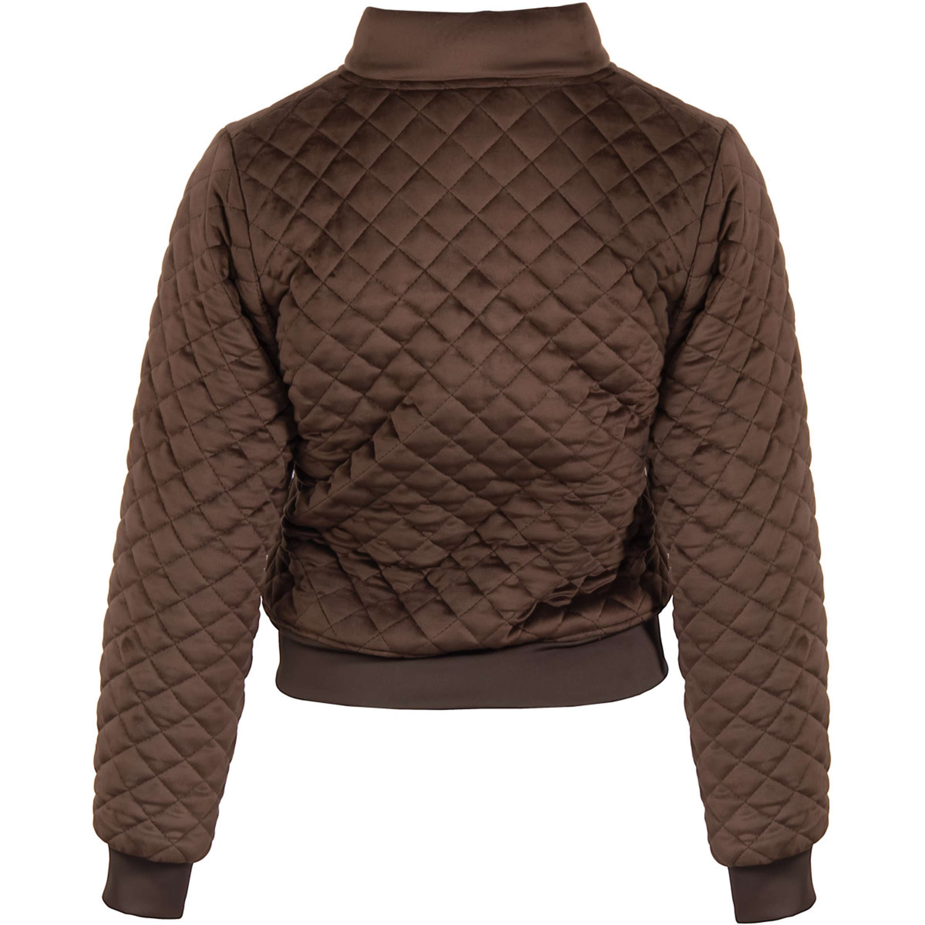 Harry's Horse Veste Bomber Classy Bracken