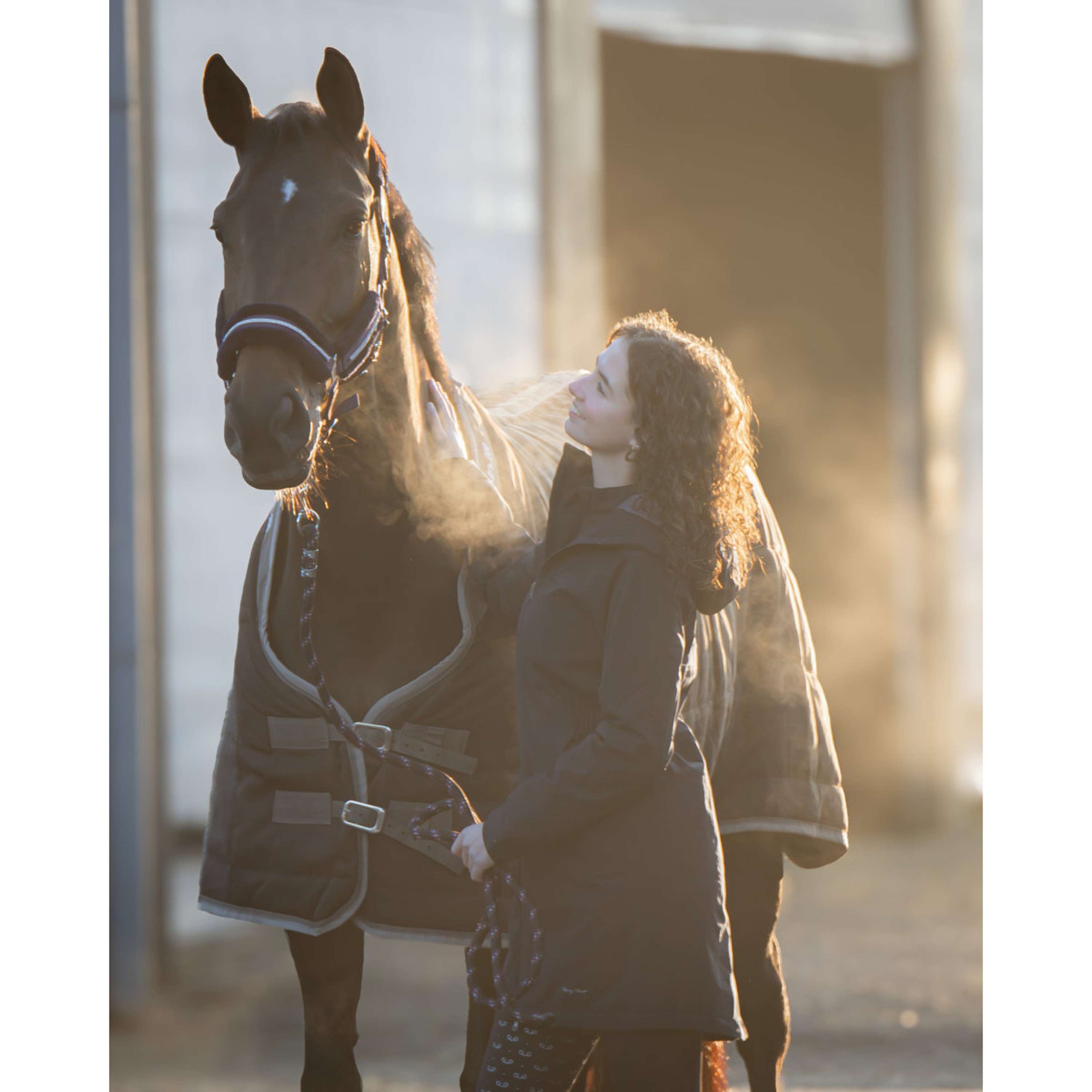 Harry's Horse Couverture d'Écurie Highliner AW26 200g Black-Sand