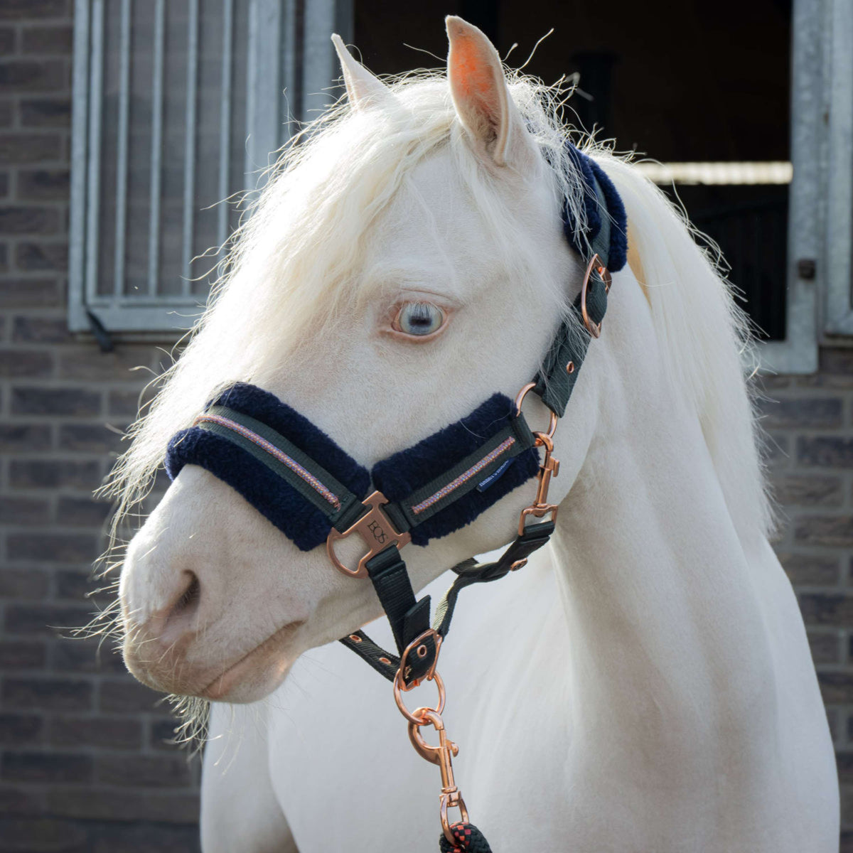Harry's Horse Ensemble Licol Soft Duffel Bag