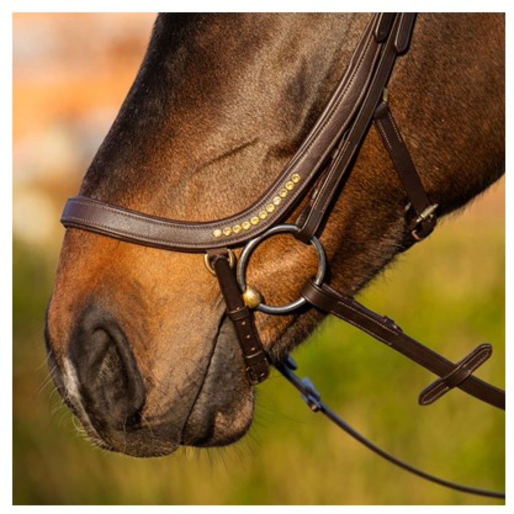 Harry's Horse Bride Anatomic Gold Marron