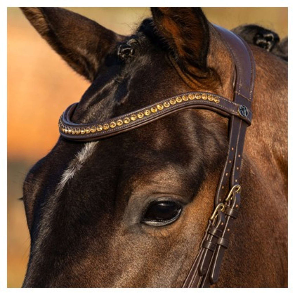 Harry's Horse Bride Anatomic Gold Marron