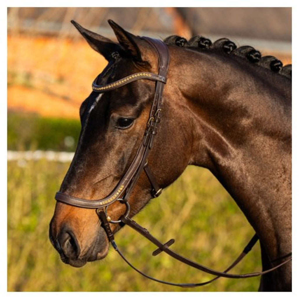 Harry's Horse Bride Anatomic Gold Marron