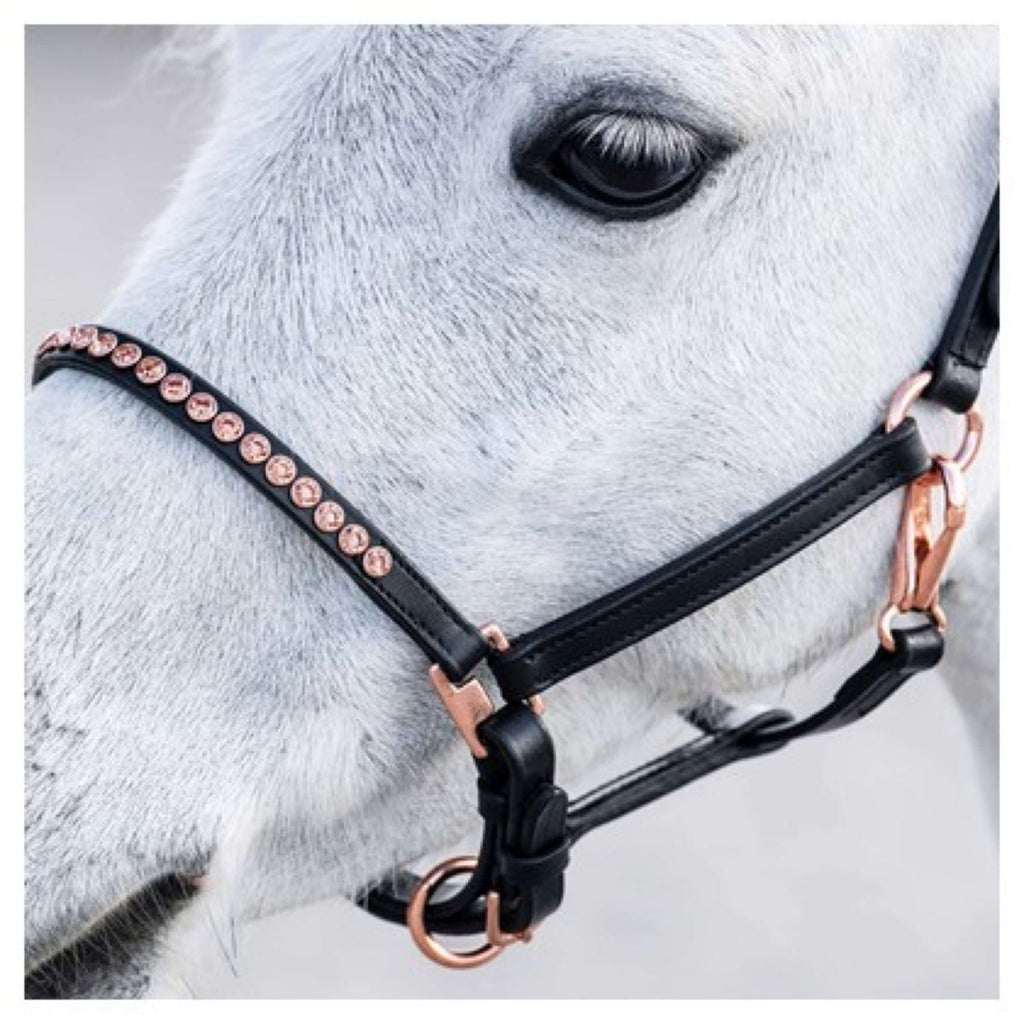 Harry's Horse Licol Crystal Noir/Or Rose