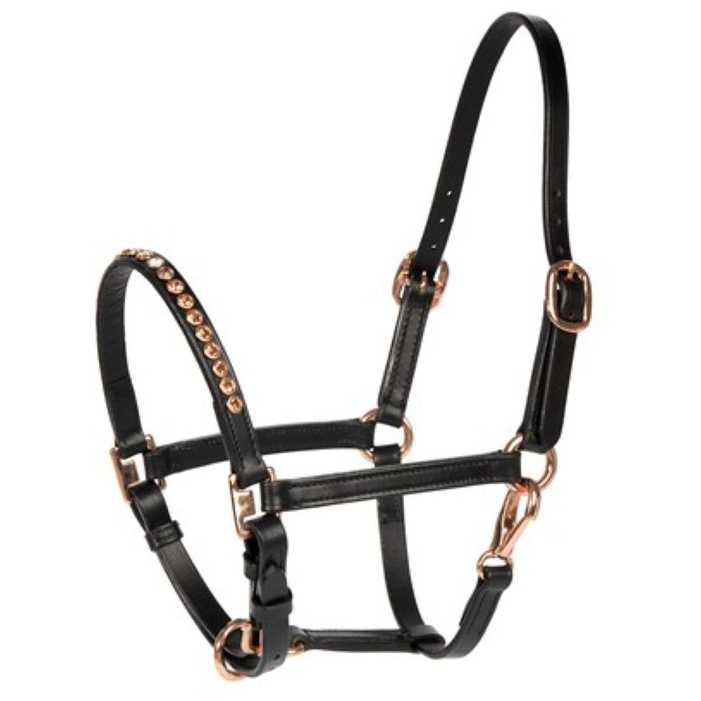 Harry's Horse Licol Crystal Noir/Or Rose