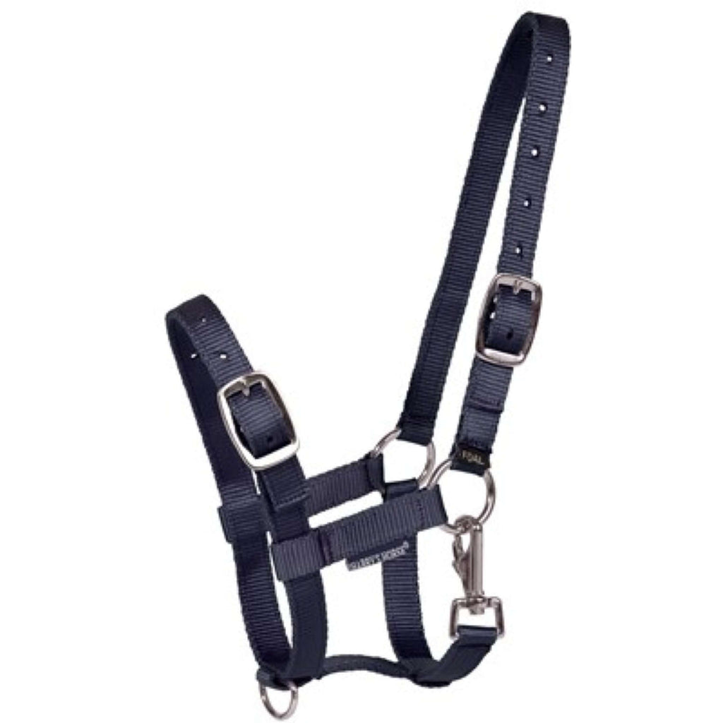 Harry's Horse Licol pour Poulain Marin