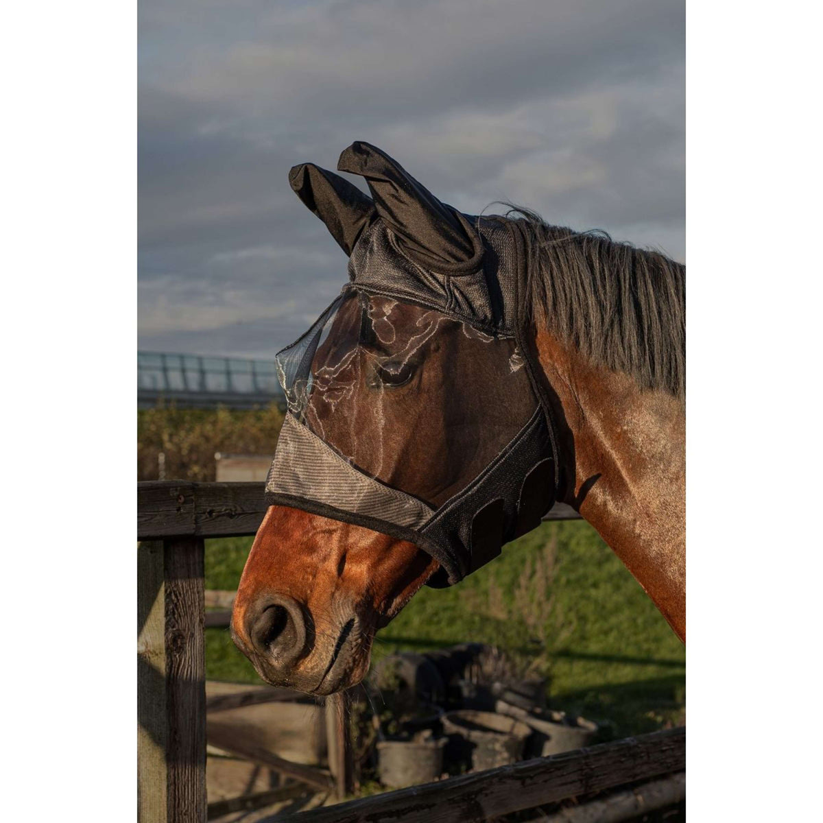 Harry's Horse Masque Anti-Mouches Flyshield