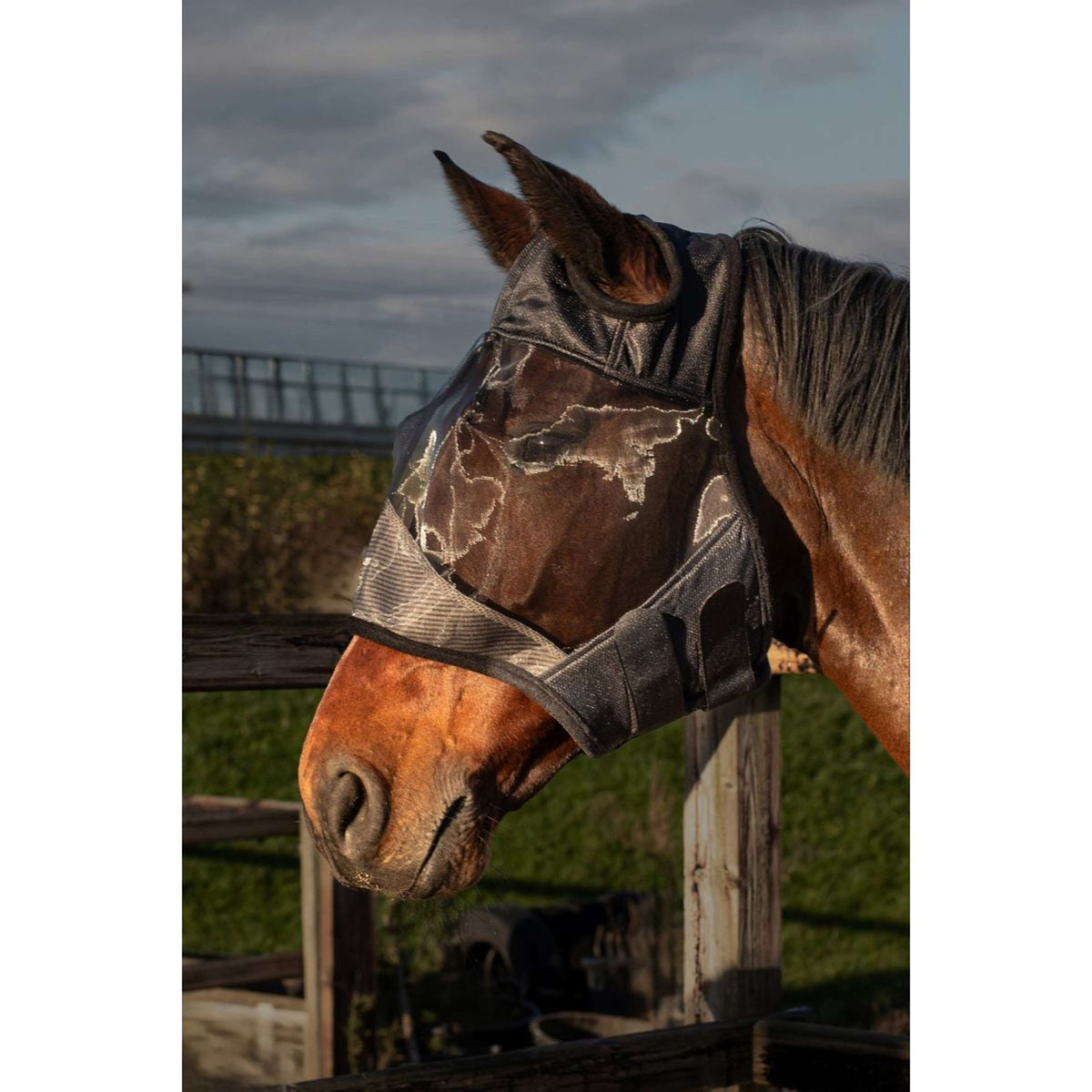 Harry's Horse Masque Anti-Mouches Flyshield sans Oreilles