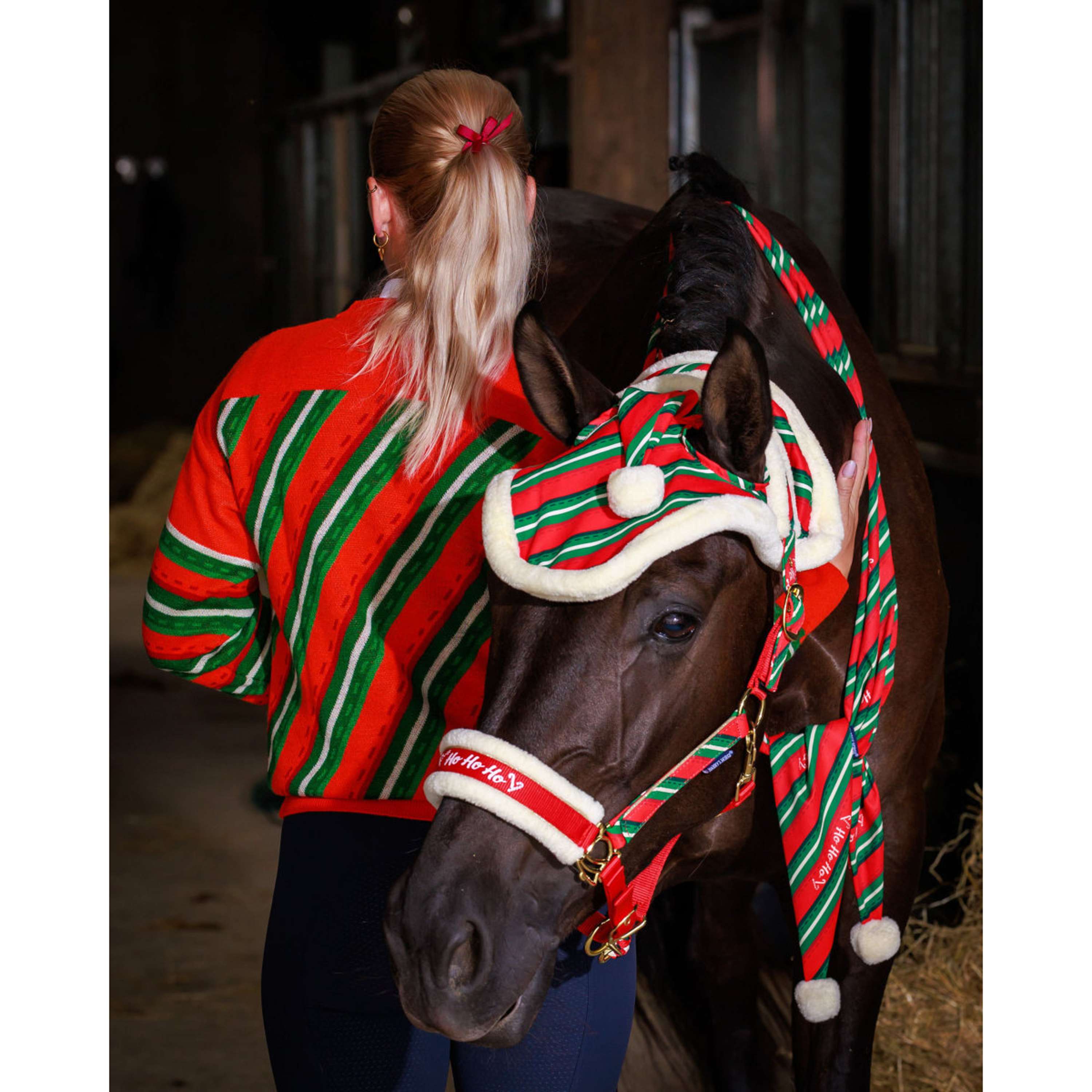 Harry's Horse Pull Christmas '26 Rouge