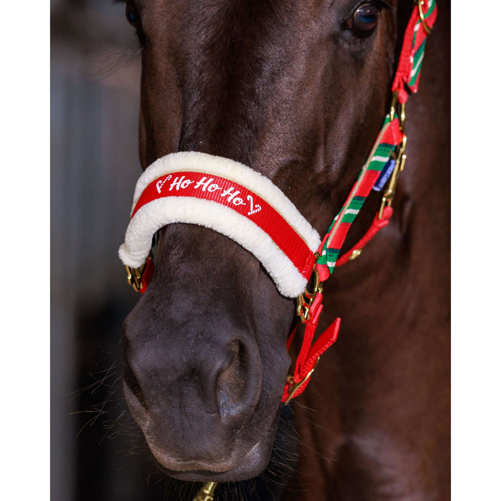 Harry's Horse Ensemble licol et bonnet Christmas '26 Rouge