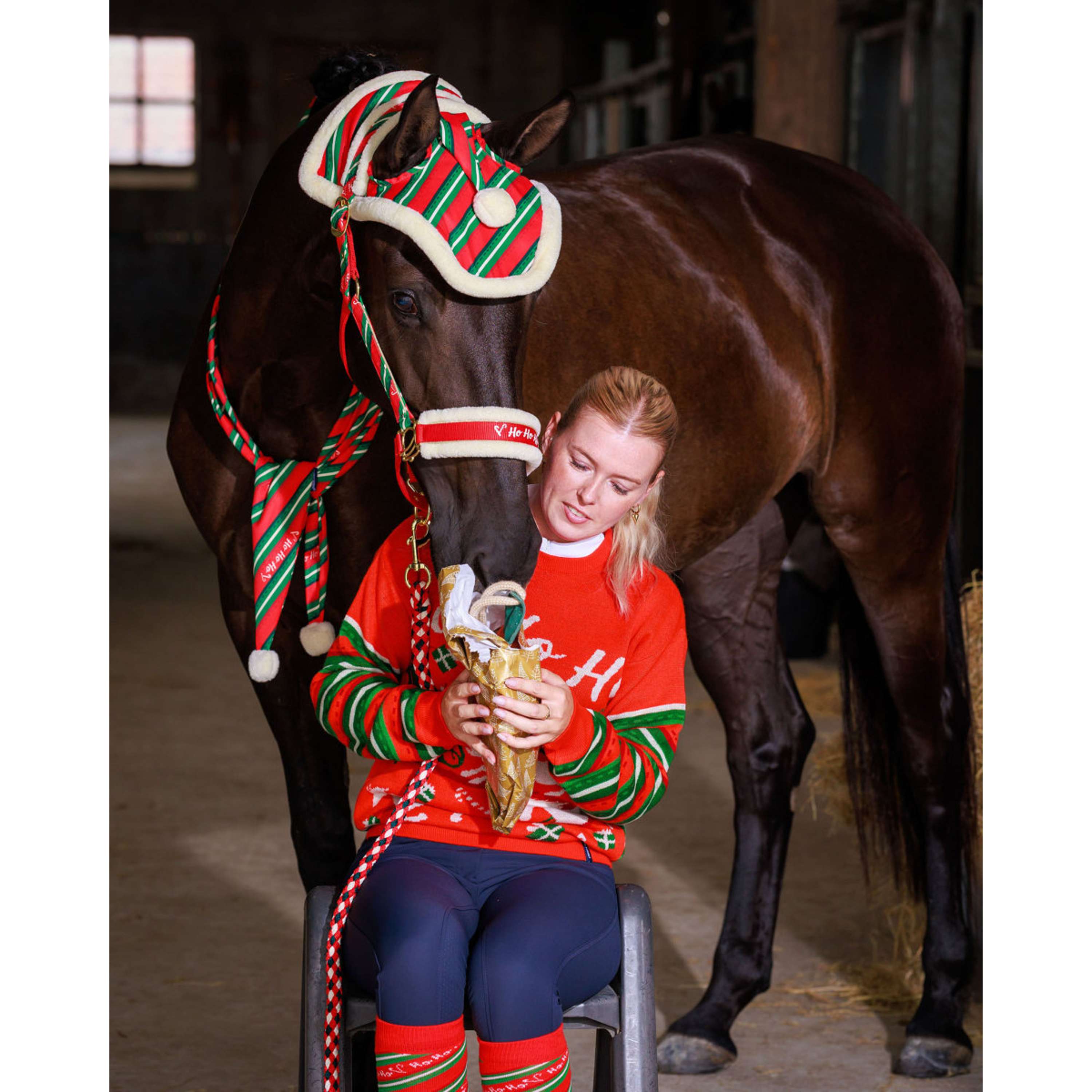 Harry's Horse Ensemble licol et bonnet Christmas '26 Rouge