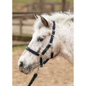 Harry's Horse Ensemble Licol STOUT! Lime Marin