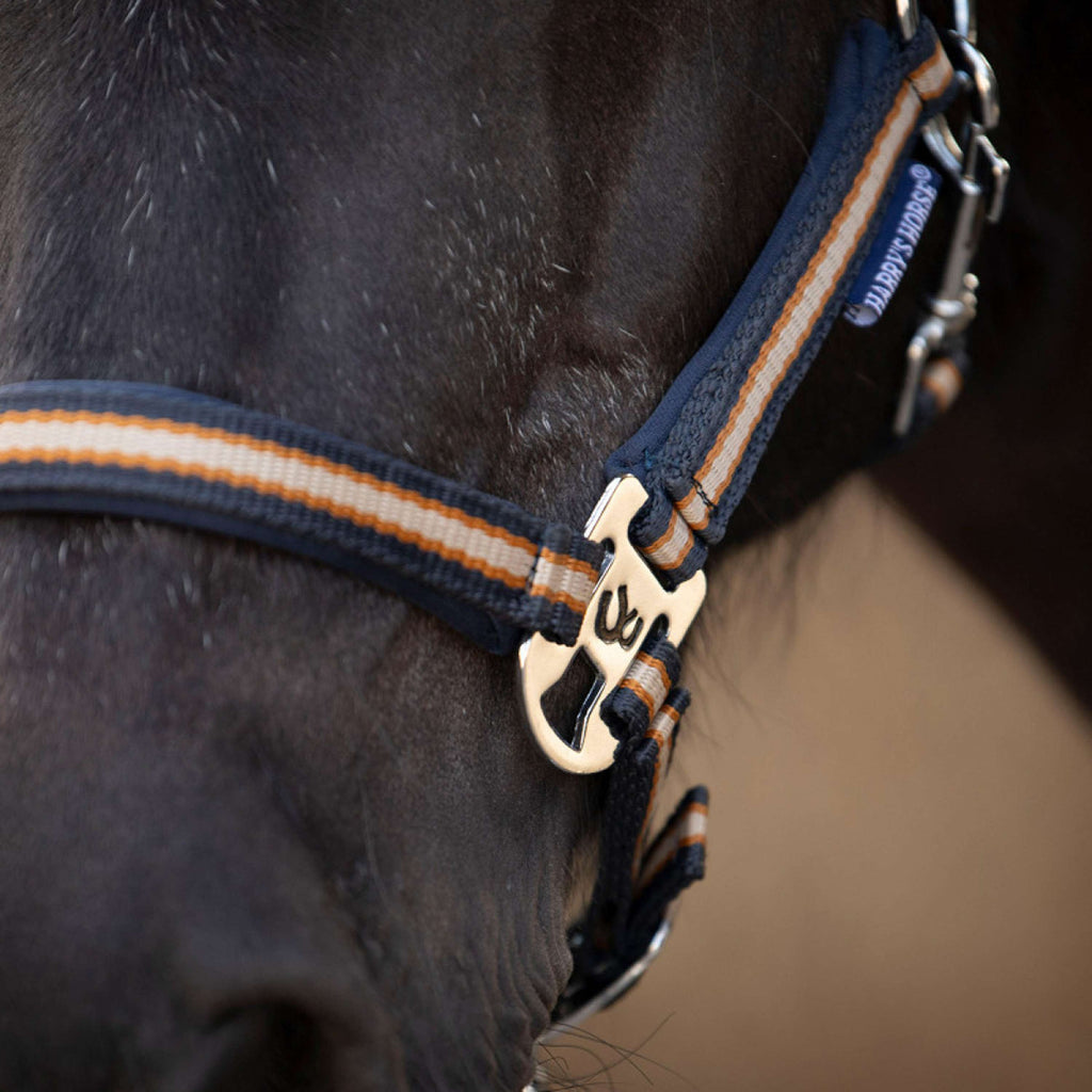 Harry's Horse Ensemble Licol STOUT! Maverick Total Eclipse