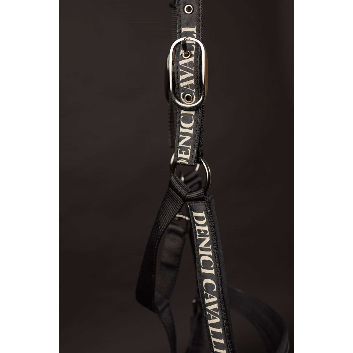 Harry's Horse Ensemble Licol Denici Cavalli Stardust Noir