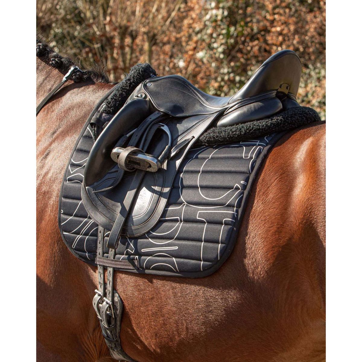 Harry's Horse Tapis de Selle Denici Cavalli Stardust Design Polyvalent Noir