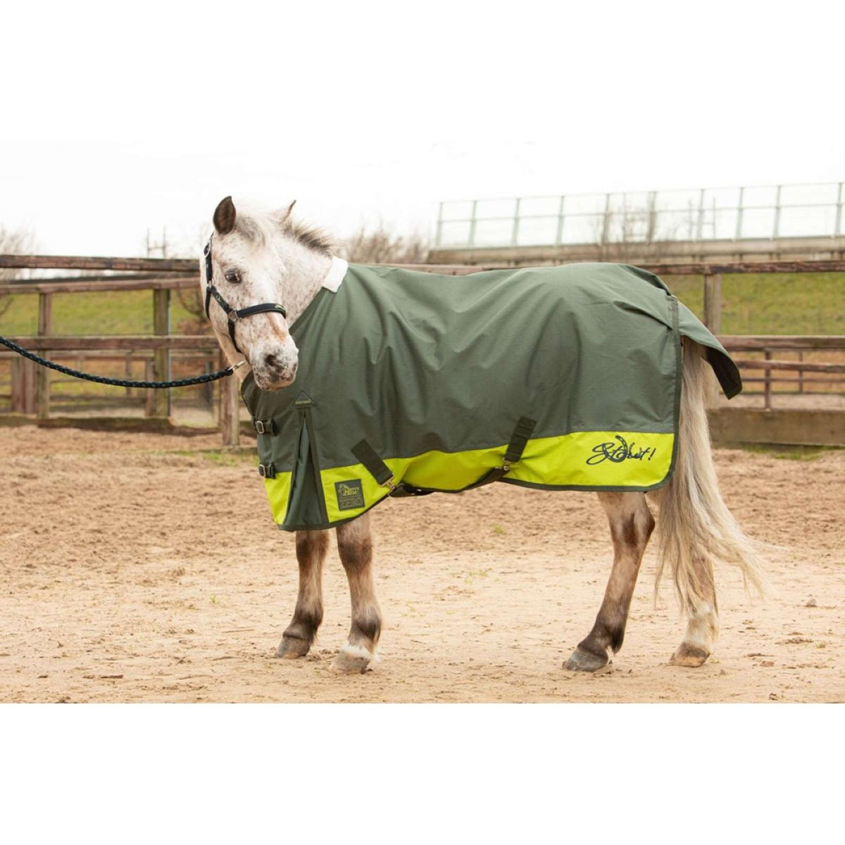 Harry's Horse Couverture Imperméable STOUT! Lime 0g Armée Verte