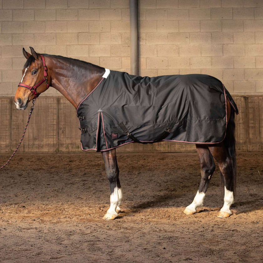 Harry's Horse Couverture d'Hiver Thor 200g WI25 Jet Black Harry's Horse Couverture d'Hiver Thor 200g WI25 Jet Black