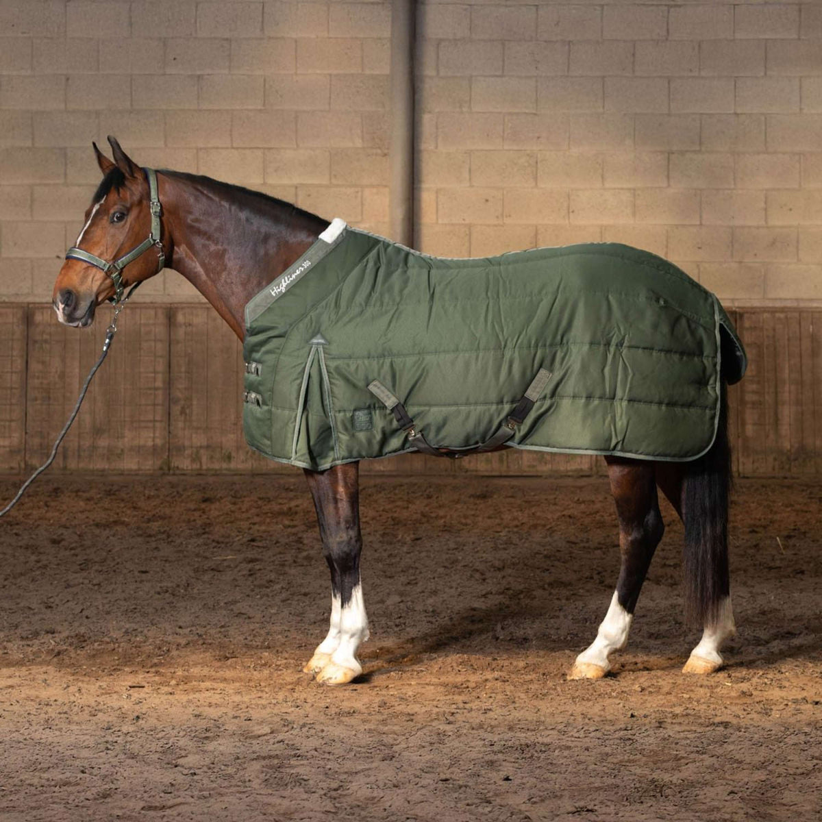 Harry's Horse Couverture d'Écurie Highliner 300 WI25 Thym