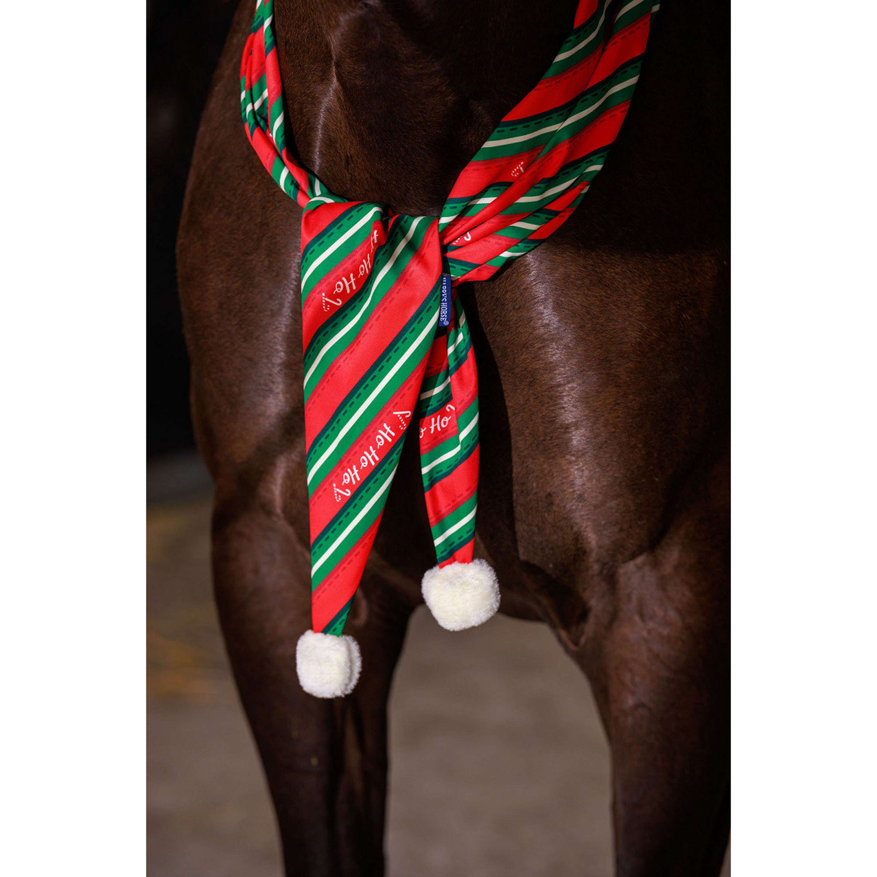Harry's Horse Echarpe Christmas '26 Rouge