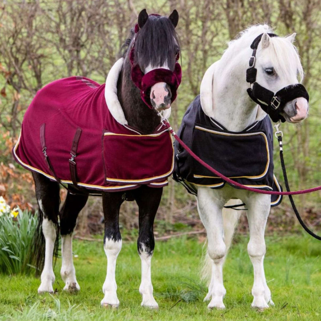 HB Couverture de Concours Dutch Crown Little Sizes Bordeaux