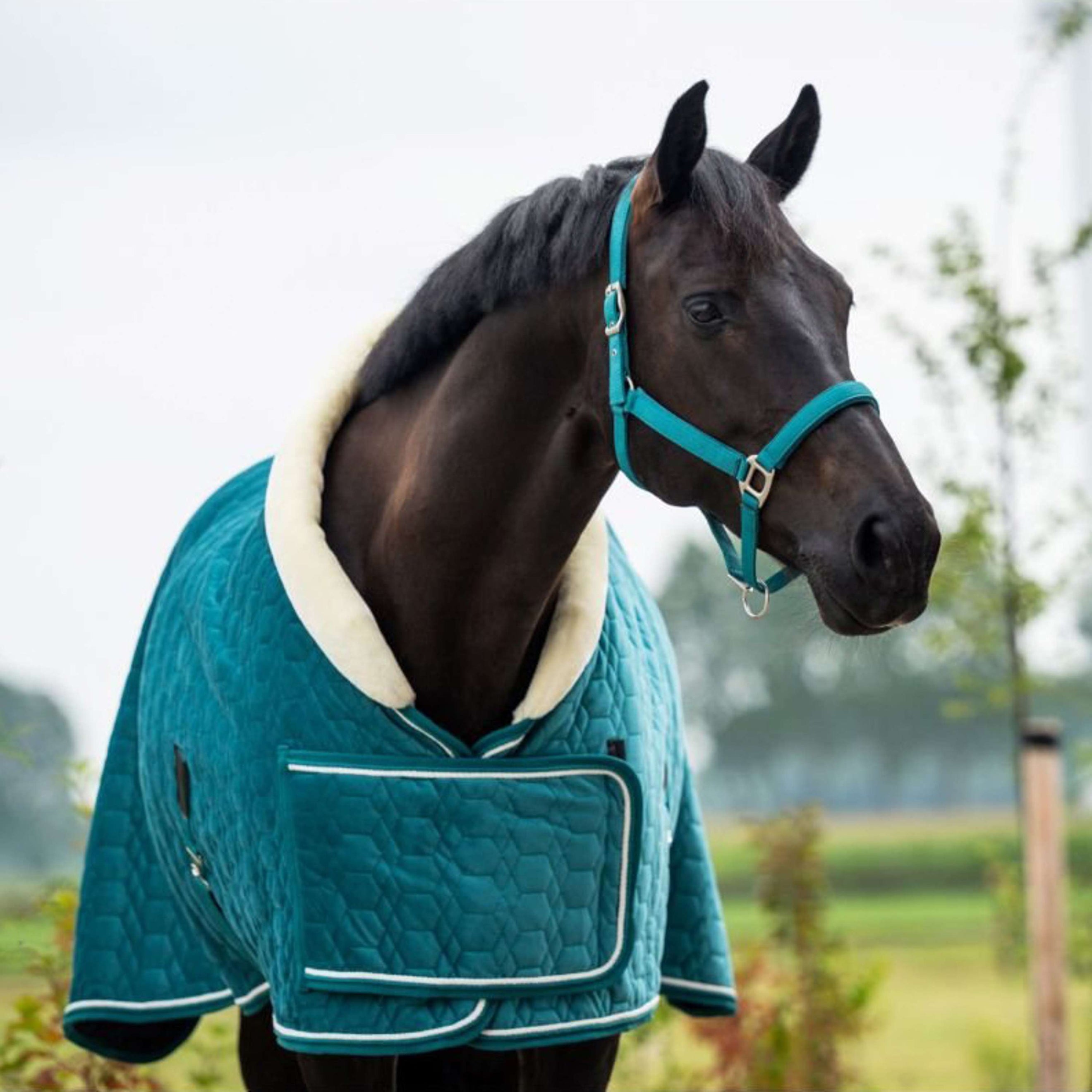 HB Showtime Couverture de Concours Tropical Smaragd Green HB Showtime Couverture de Concours Tropical Smaragd Green