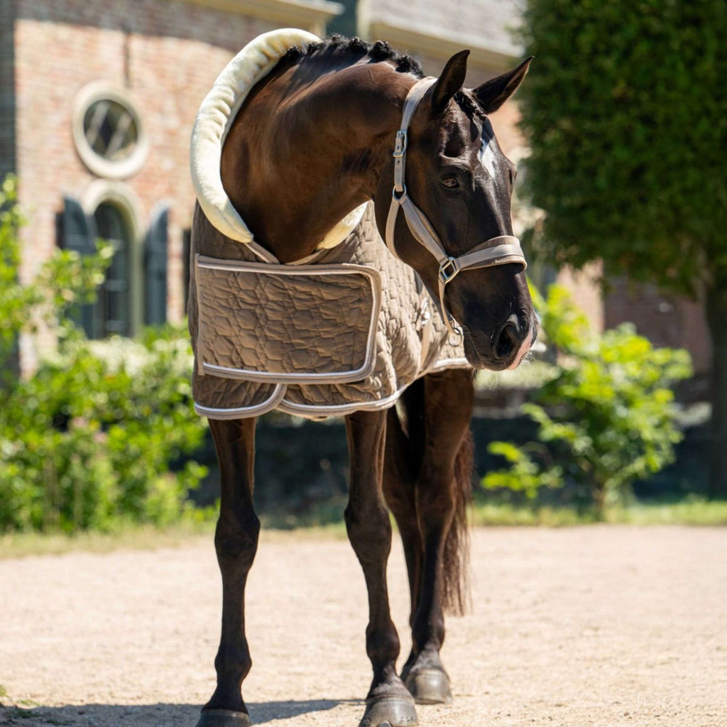 HB Ruitersport Couverture de Concours Special Peach Taupe