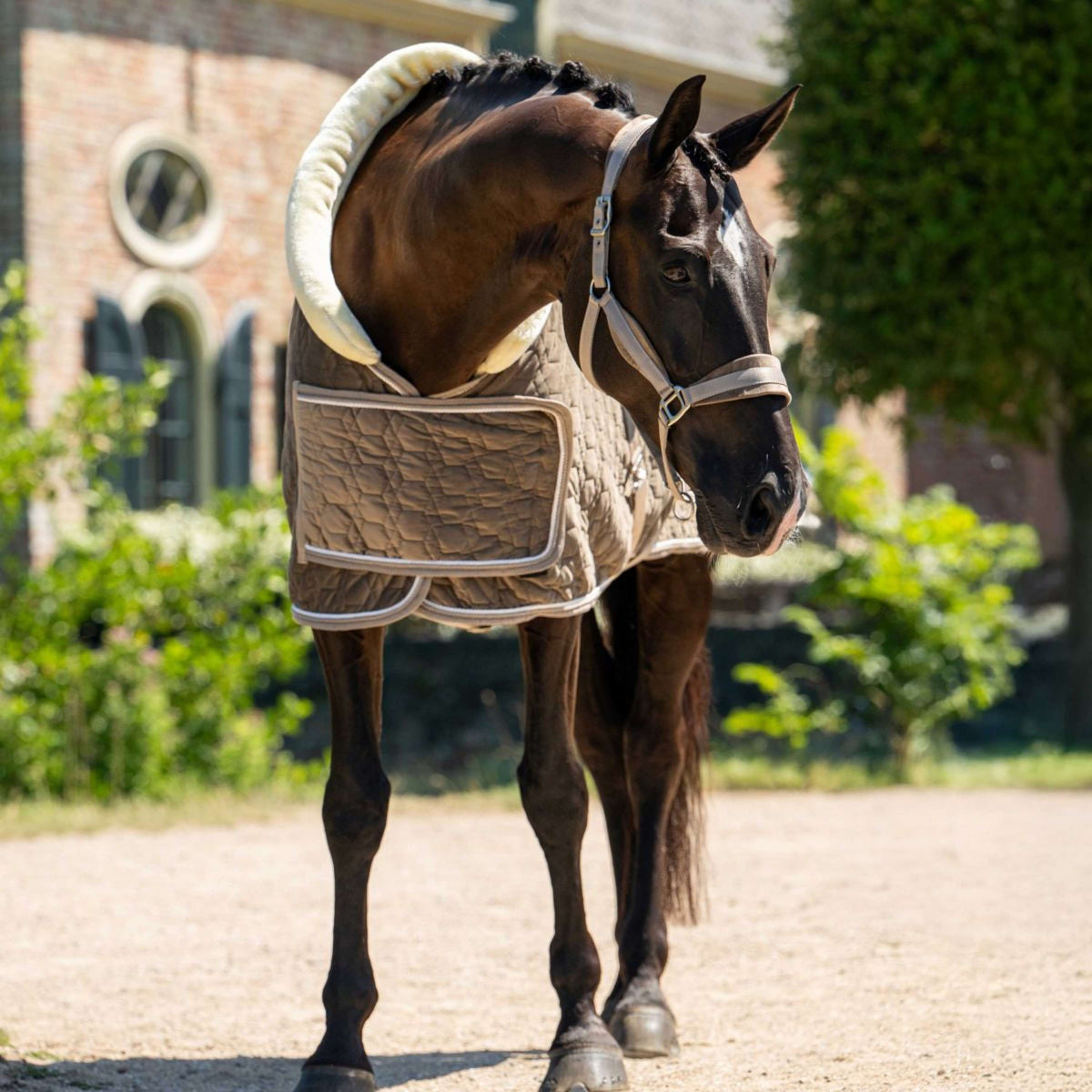 HB Ruitersport Couverture de Concours Special Peach Taupe
