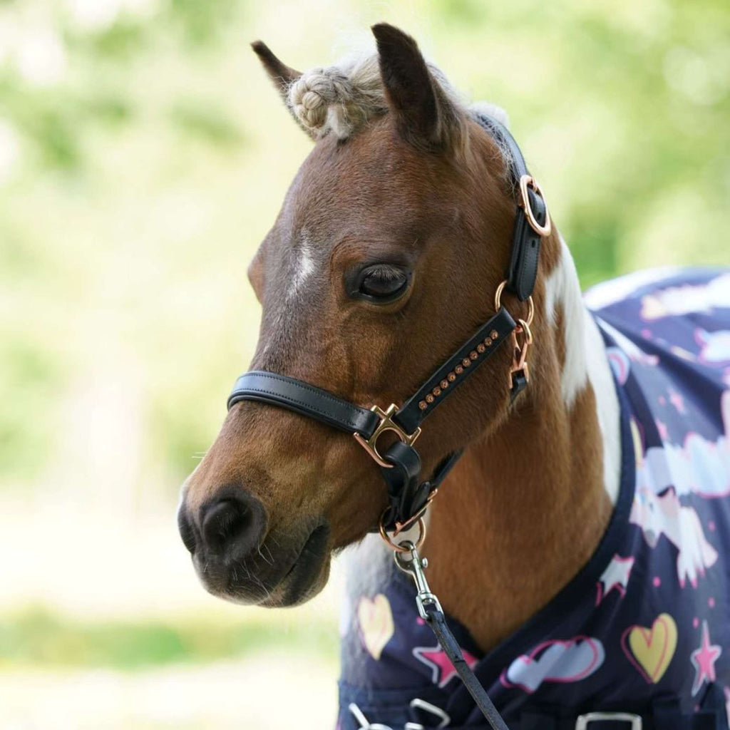 HB Harry & Hector Couverture d'Extérieur 0g Unicorn Dream