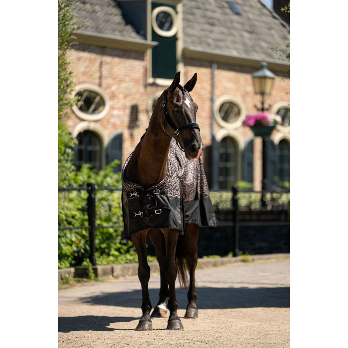 HB Couverture d'Extérieur Leopard 0g Léopard