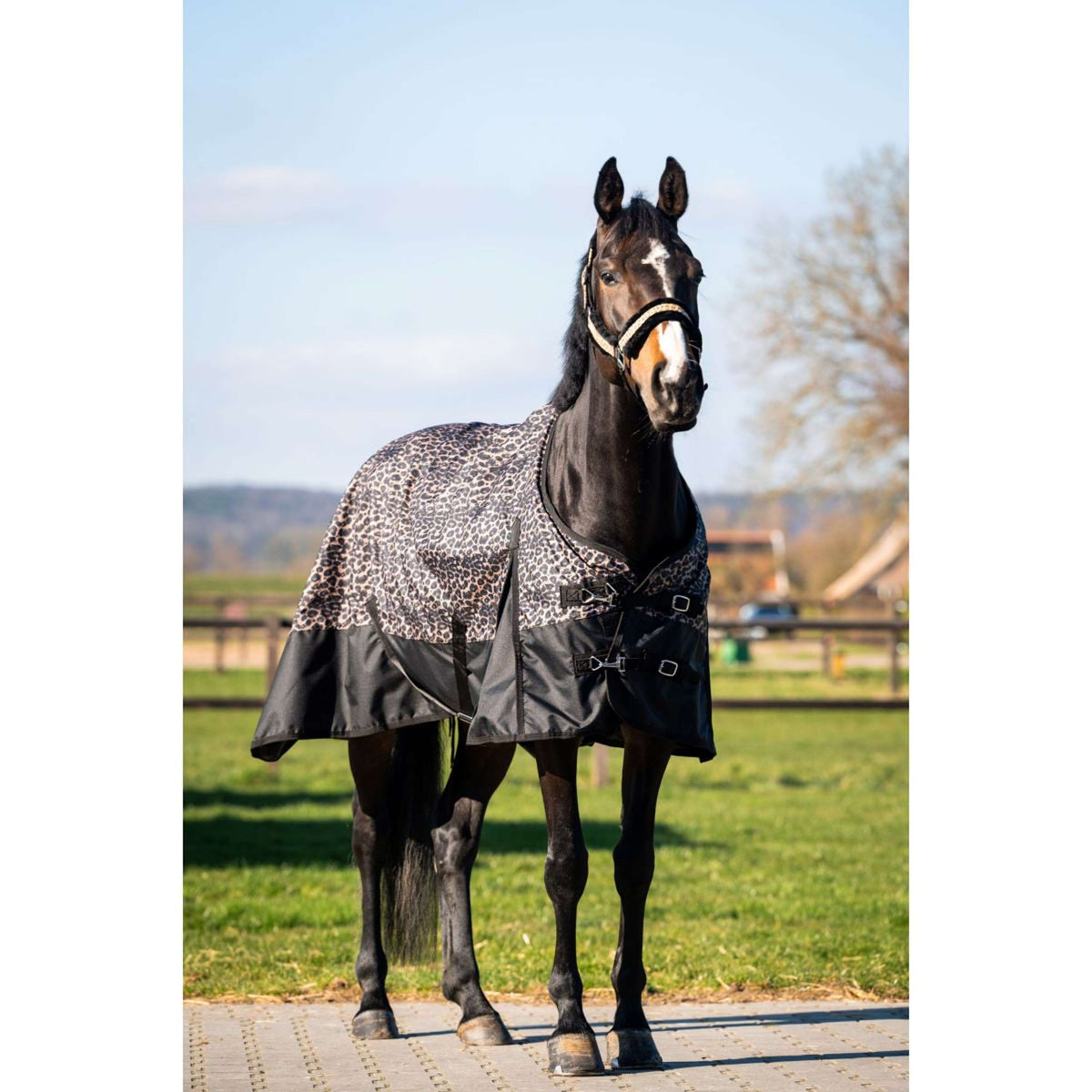 HB Couverture d'Extérieur Leopard 0g Léopard