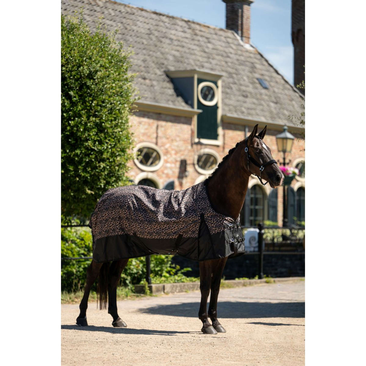 HB Couverture d'Extérieur Leopard 0g Léopard