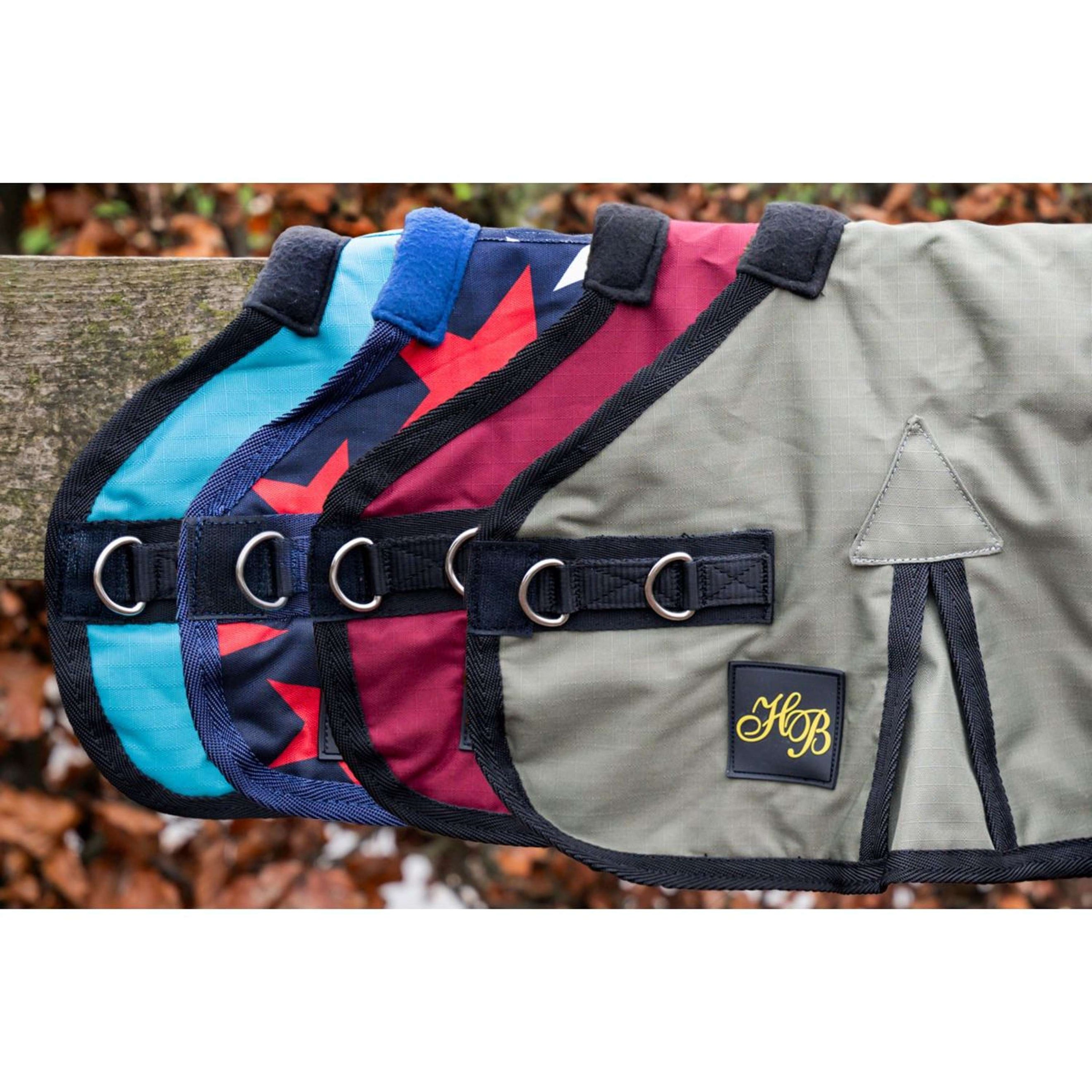 HB Couverture pour Poulain Ukki Turquoise