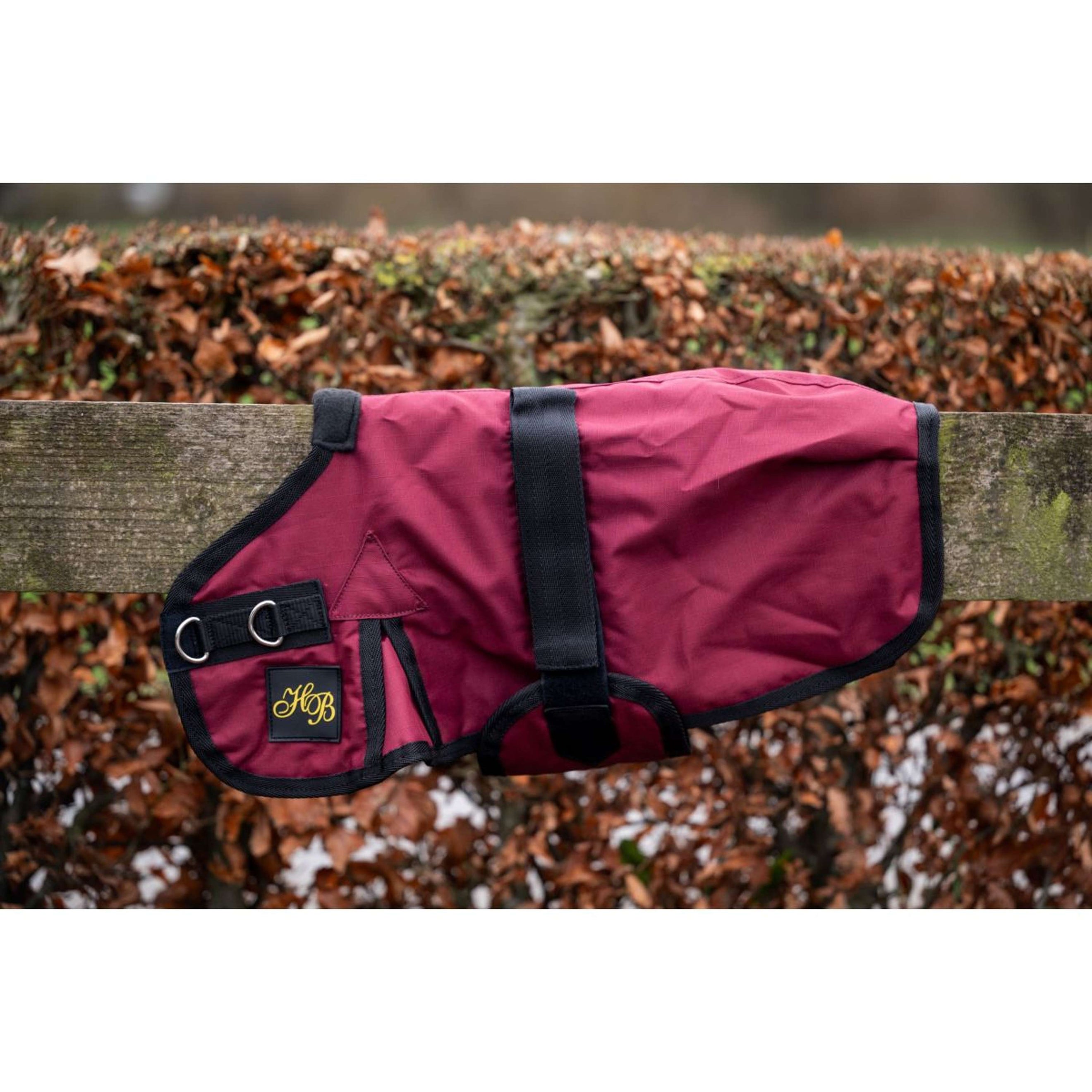 HB Couverture pour Poulain Ukki Bordeaux