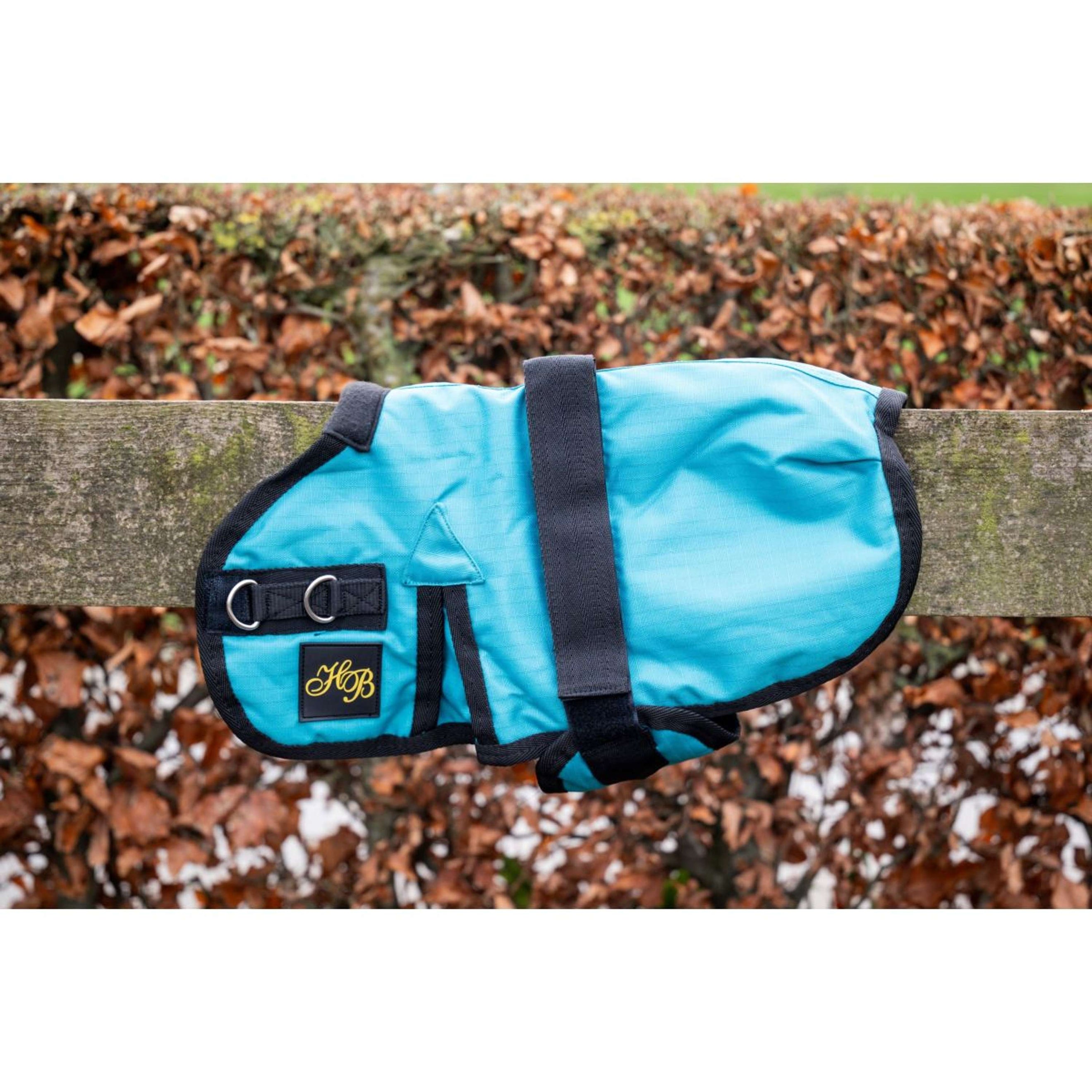 HB Couverture pour Poulain Ukki Turquoise