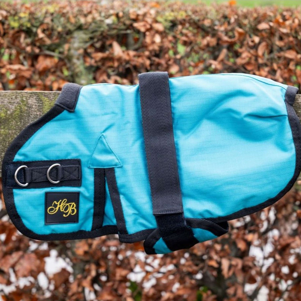 HB Couverture pour Poulain Ukki Turquoise