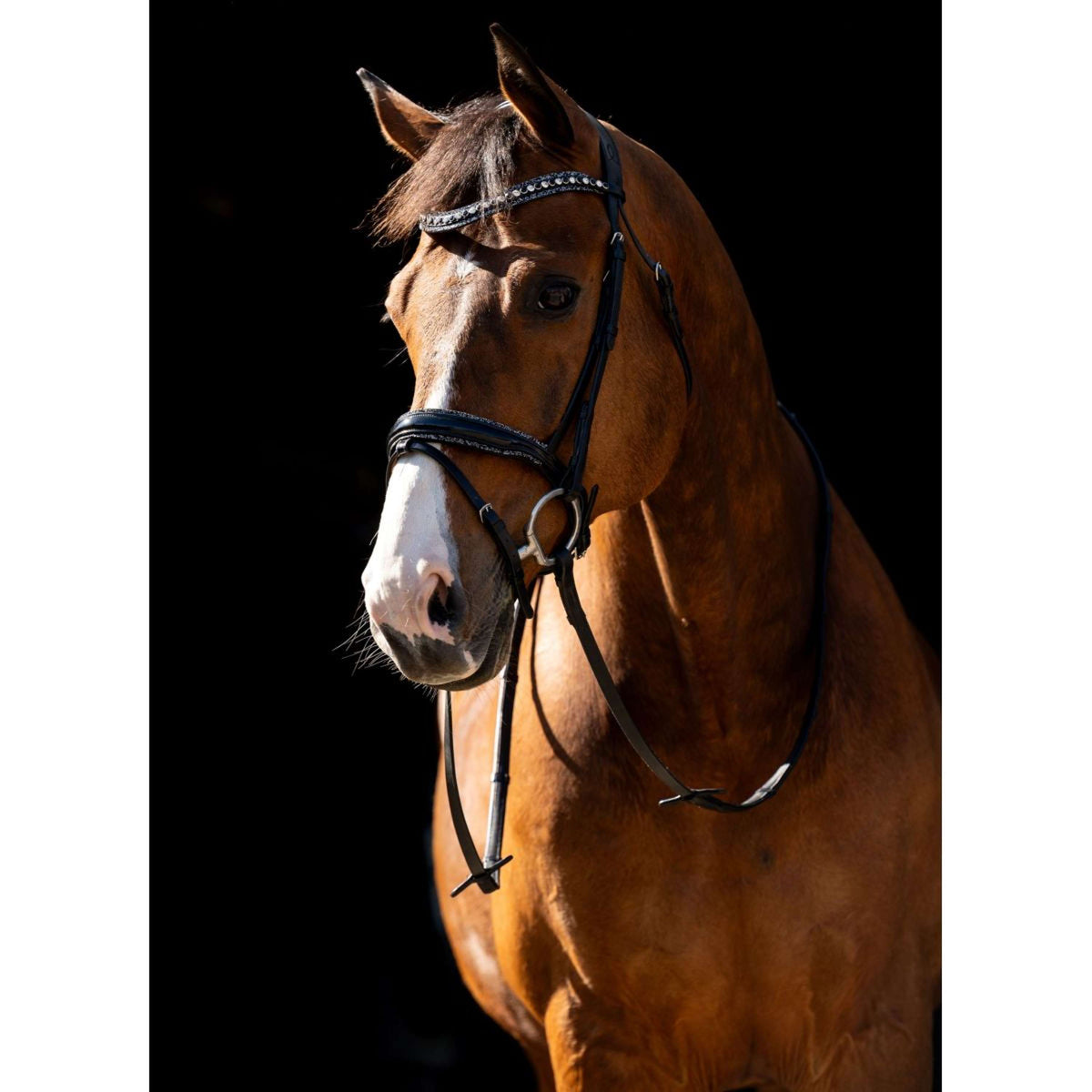 HB Bride Jump Rocky Paillettes/Noir