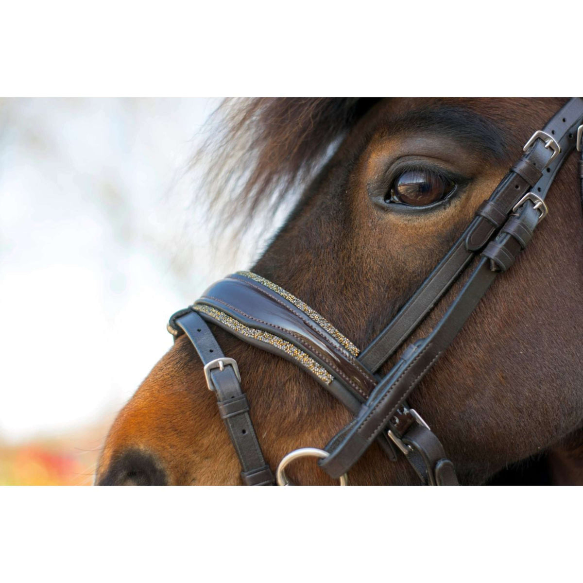 HB Bride Rocky Paillettes Marron