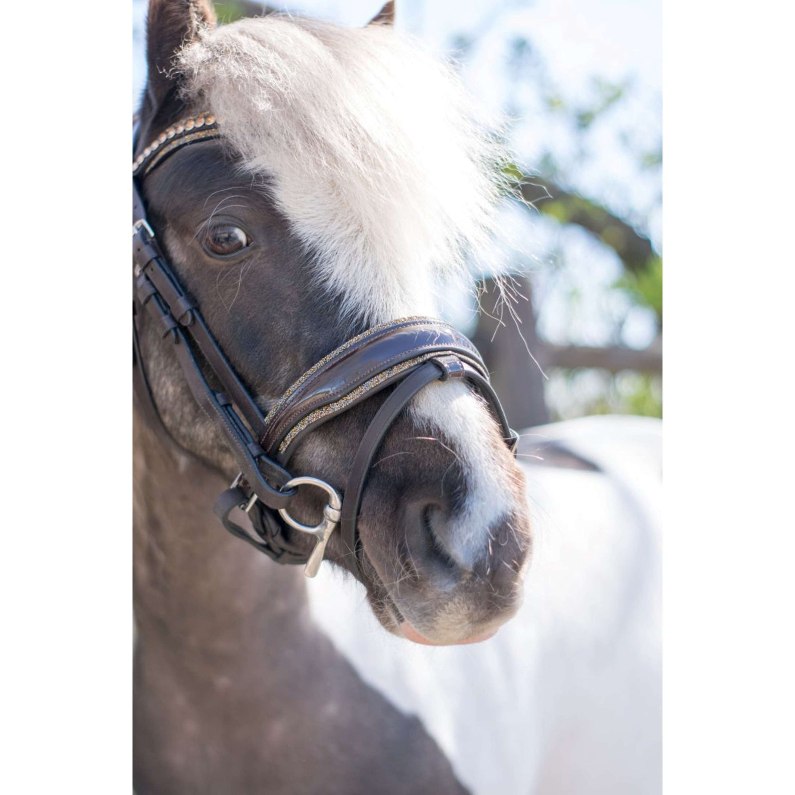 HB Bride Rocky Paillettes Marron HB Bride Rocky Paillettes Marron