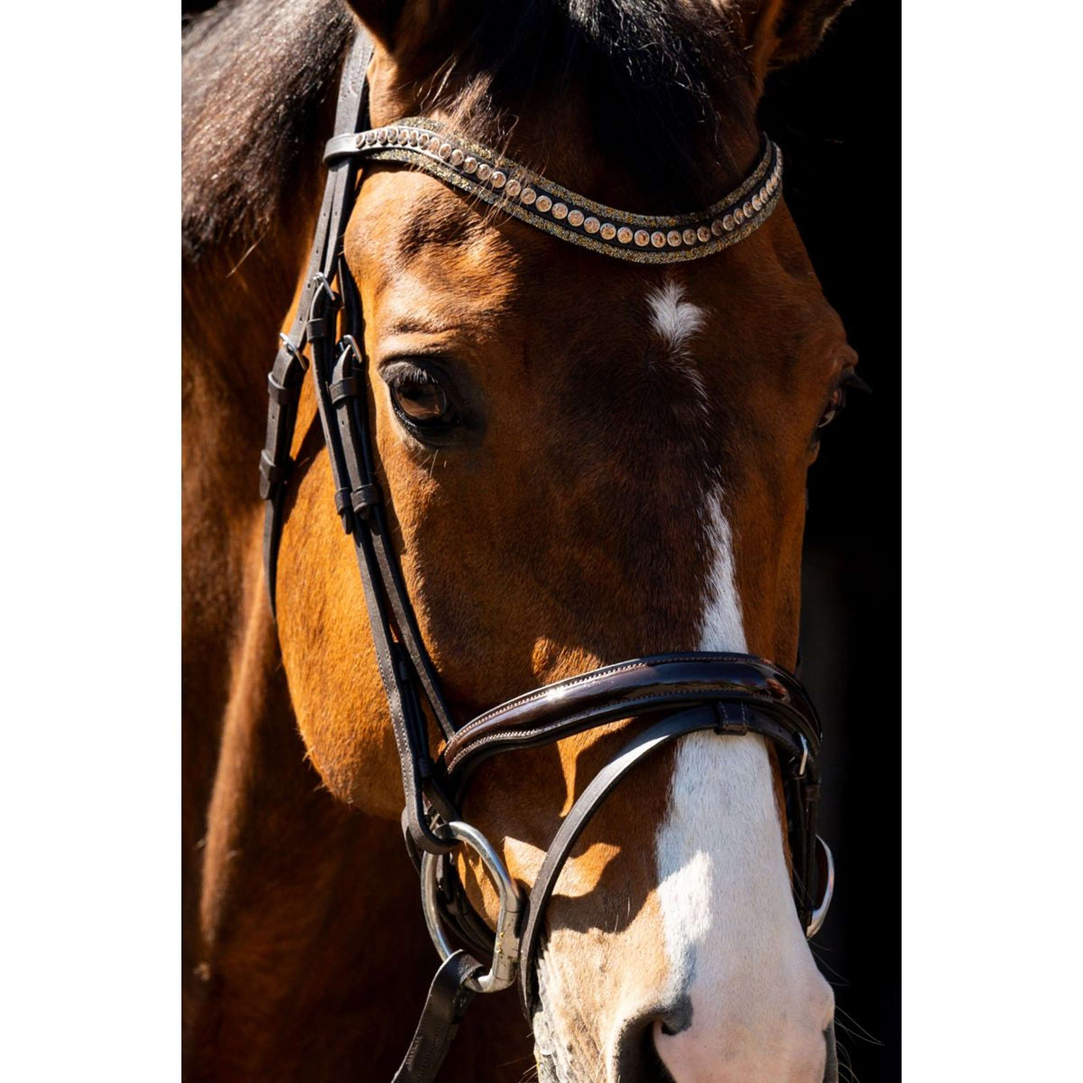 HB Bride Jump Marron