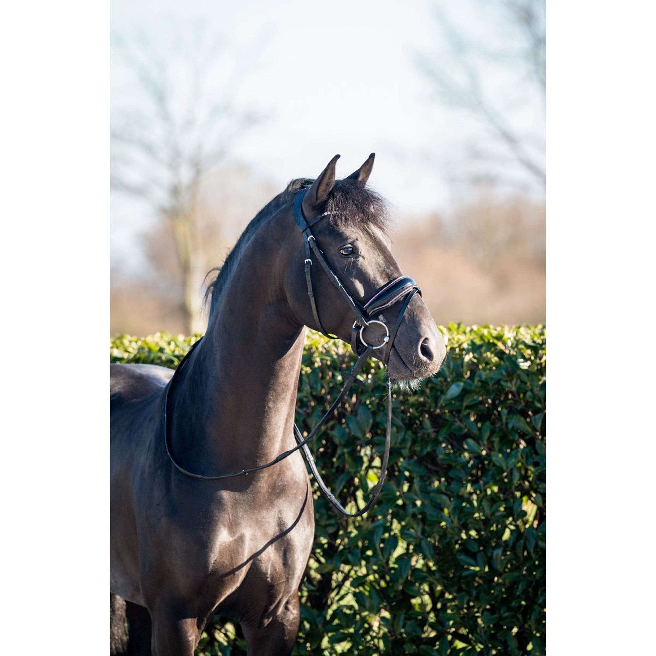 HB Bride Showtime Evalira Noir/Rose HB Bride Showtime Evalira Noir/Rose