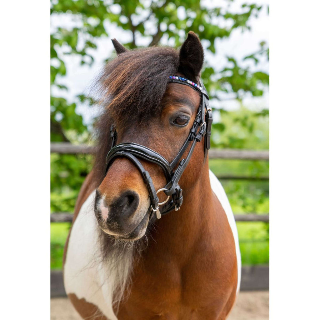 HB Ruitersport Bride Showtime Petit Royal Noir