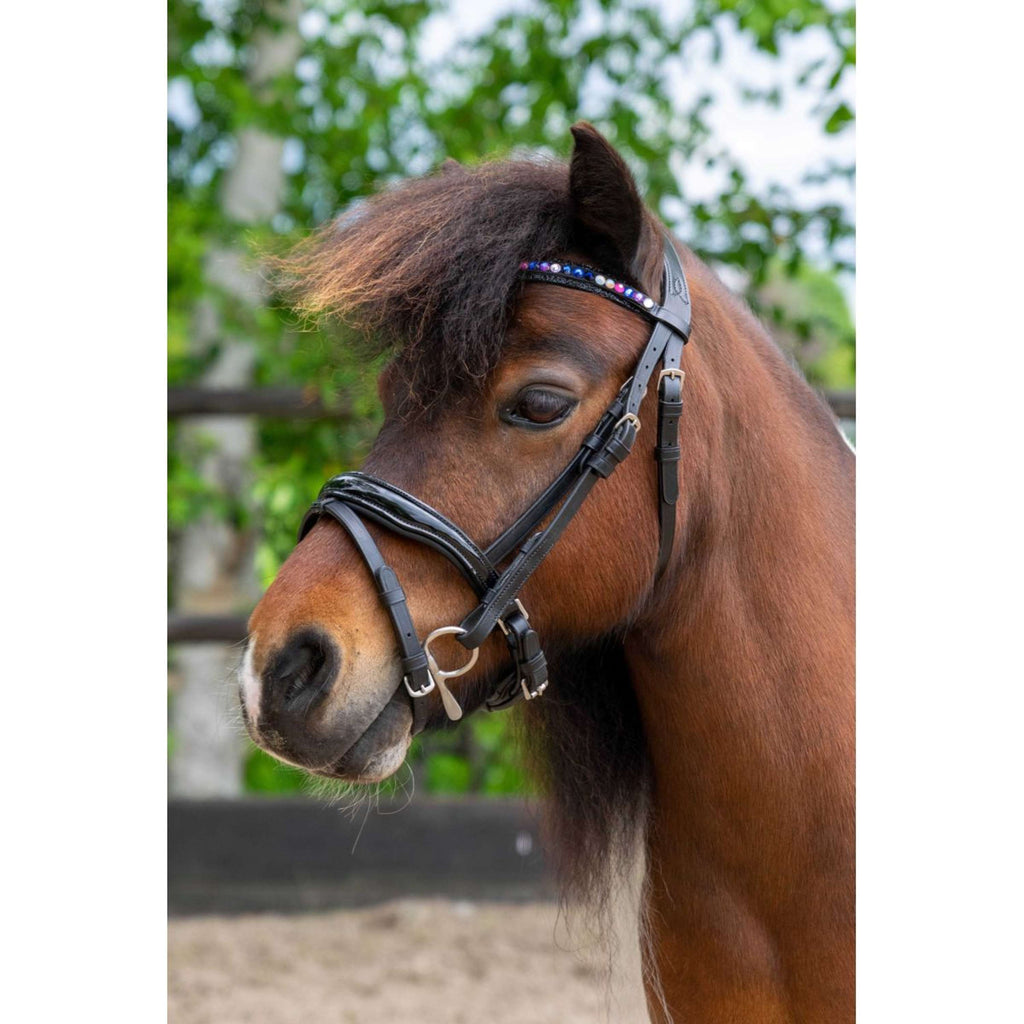HB Ruitersport Bride Showtime Petit Royal Noir