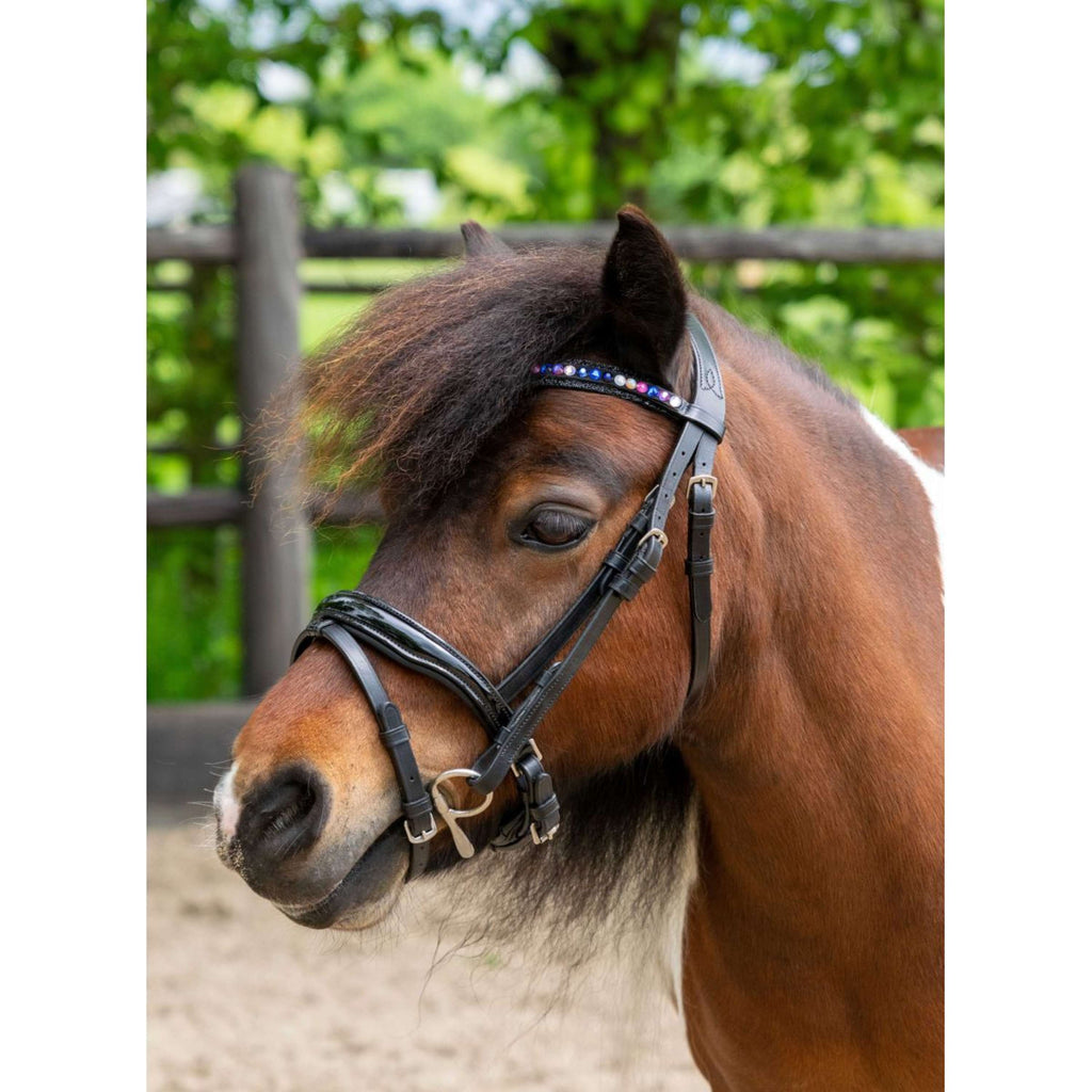 HB Ruitersport Bride Showtime Petit Royal Noir
