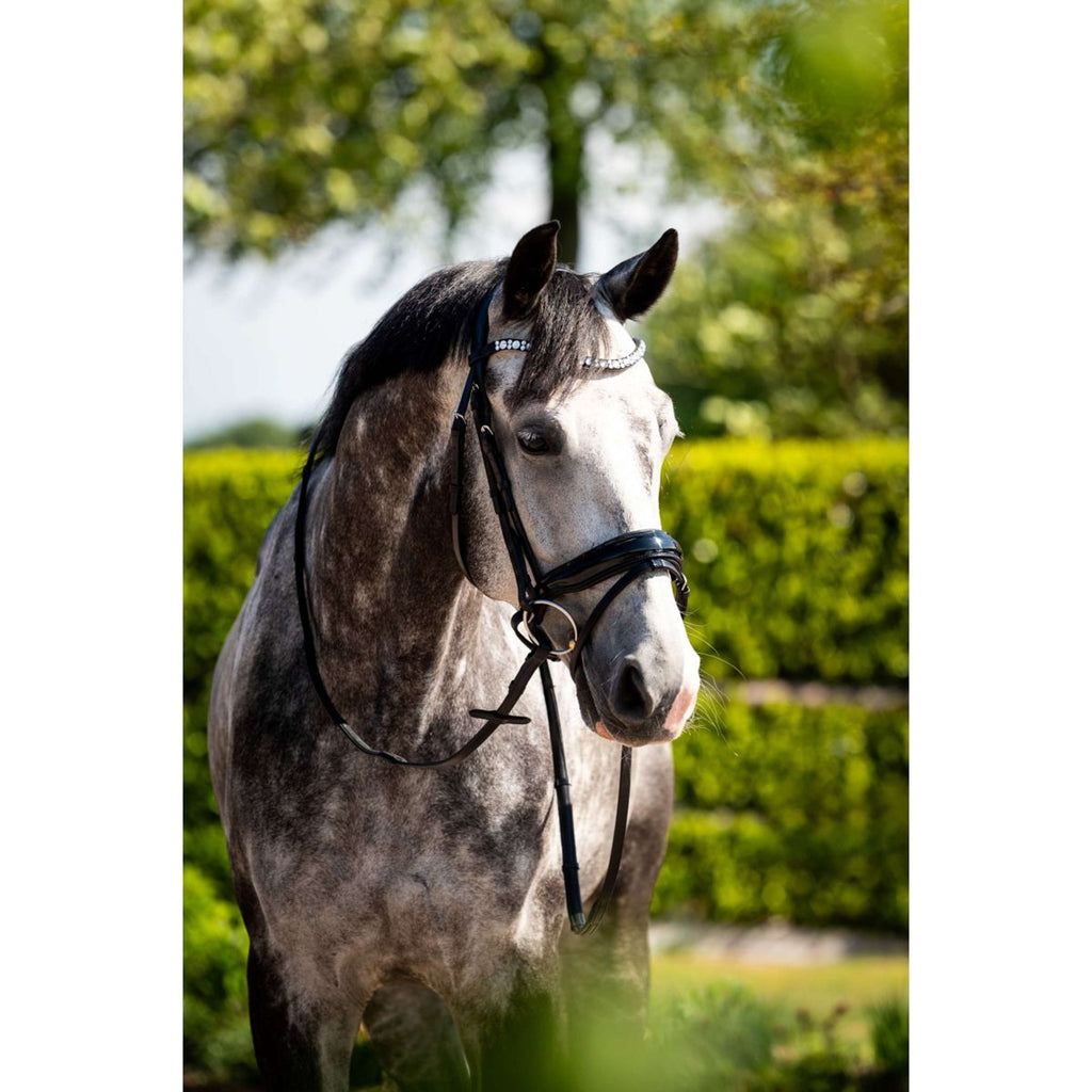 HB Ruitersport Bride Showtime Ultimate Dream Noir