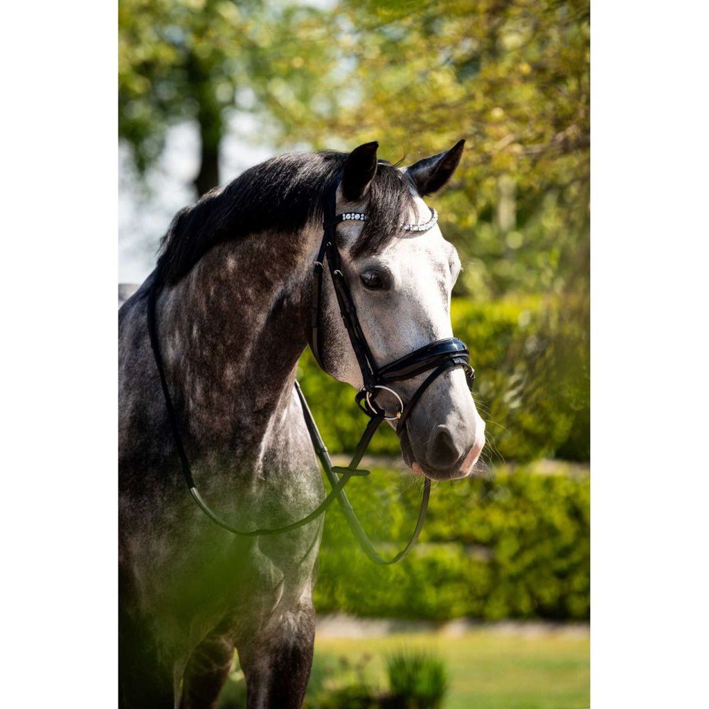 HB Ruitersport Bride Showtime Ultimate Dream Noir