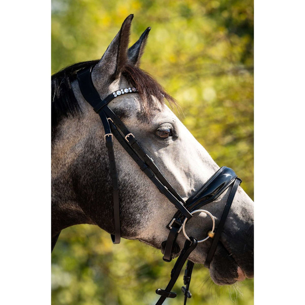 HB Ruitersport Bride Showtime Ultimate Dream Noir