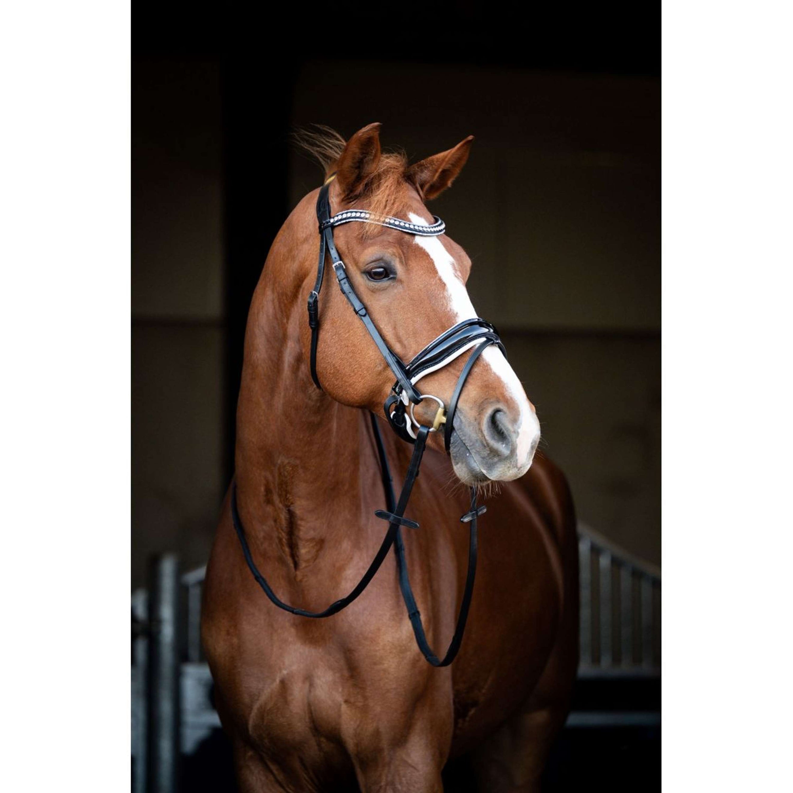 HB Showtime Bride Snowflake Noir/Blanc HB Showtime Bride Snowflake Noir/Blanc