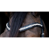 HB Ruitersport Frontal Showtime To Nice Noir