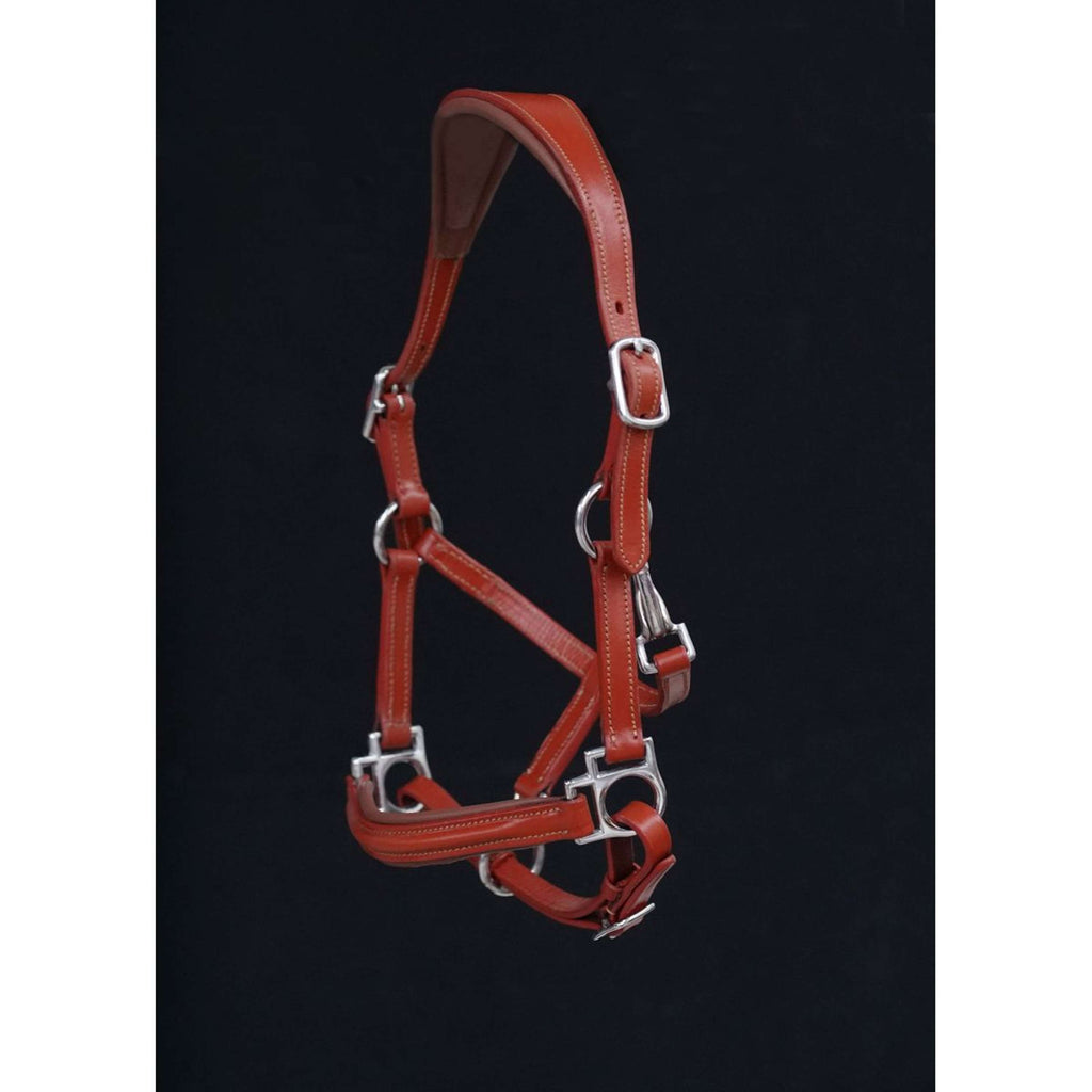 HB Showtime Licol Little Sizes Cognac/Cognac